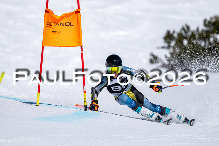DSV - Actanol Deutscher Schülercup U12 Finale RSX 2026