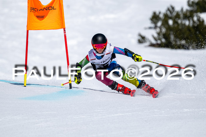 DSV - Actanol Deutscher Schülercup U12 Finale RSX 2026