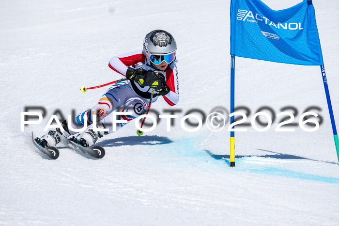 DSV - Actanol Deutscher Schülercup U12 Finale RSX 2026