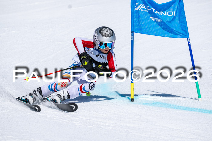 DSV - Actanol Deutscher Schülercup U12 Finale RSX 2026