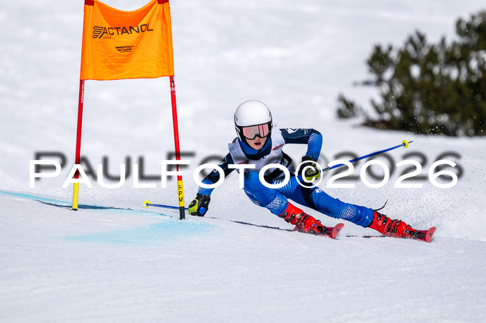 DSV - Actanol Deutscher Schülercup U12 Finale RSX 2026