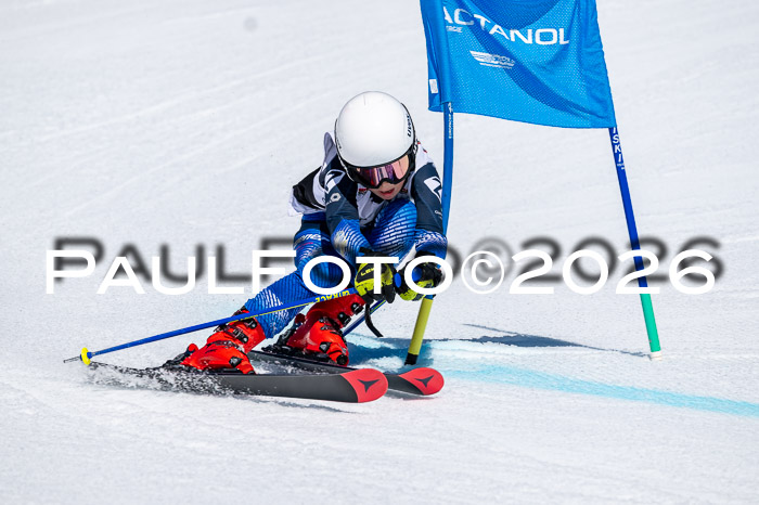 DSV - Actanol Deutscher Schülercup U12 Finale RSX 2026