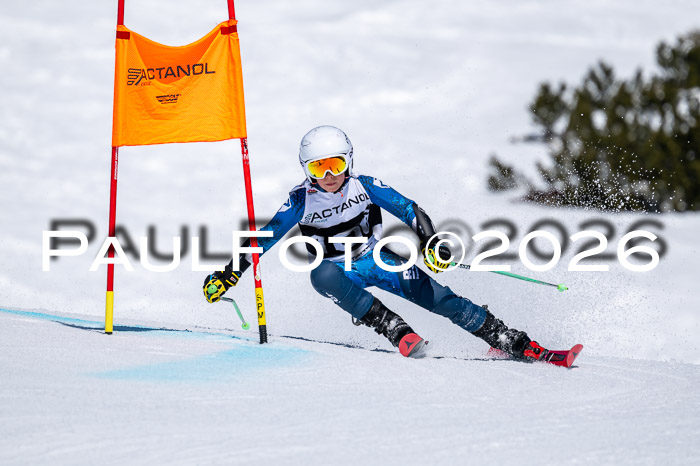 DSV - Actanol Deutscher Schülercup U12 Finale RSX 2026