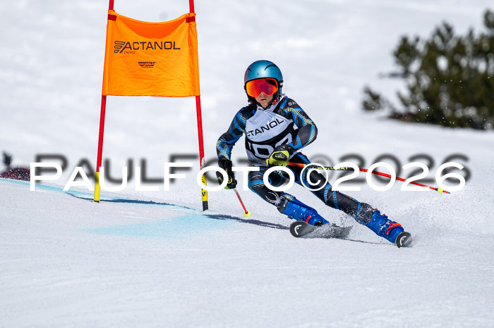 DSV - Actanol Deutscher Schülercup U12 Finale RSX 2026