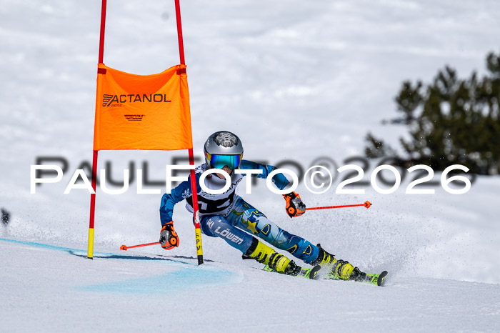 DSV - Actanol Deutscher Schülercup U12 Finale RSX 2026