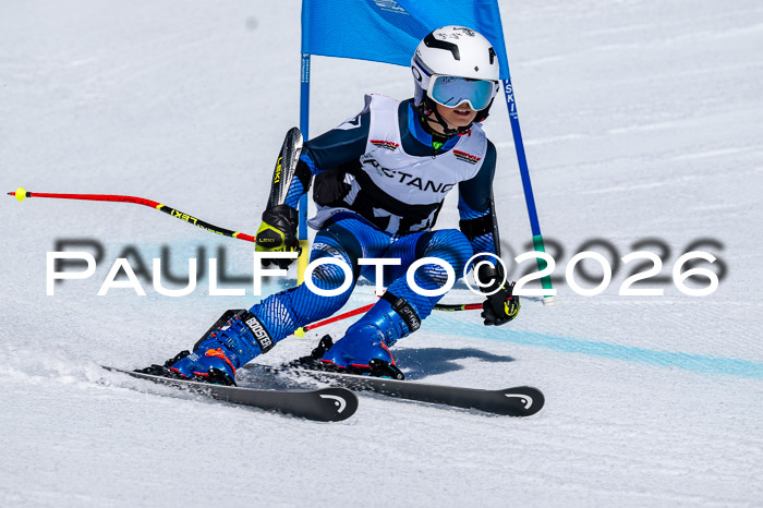 DSV - Actanol Deutscher Schülercup U12 Finale RSX 2026