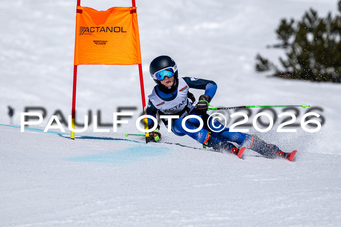 DSV - Actanol Deutscher Schülercup U12 Finale RSX 2026