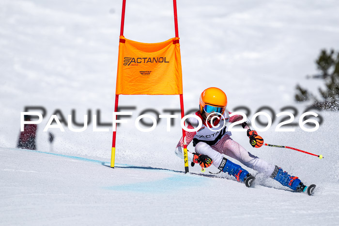 DSV - Actanol Deutscher Schülercup U12 Finale RSX 2026