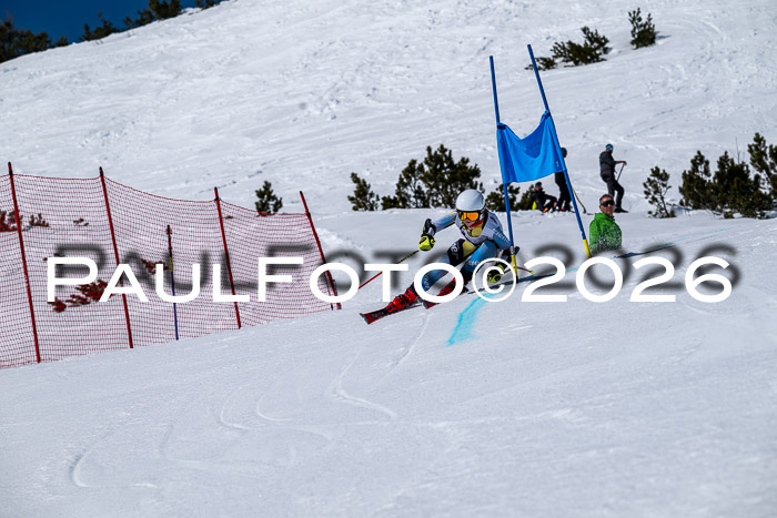 DSV - Actanol Deutscher Schülercup U12 Finale RSX 2026