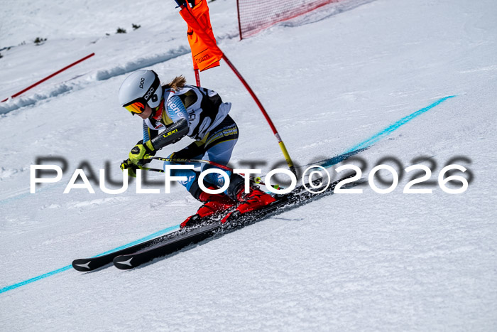 DSV - Actanol Deutscher Schülercup U12 Finale RSX 2026