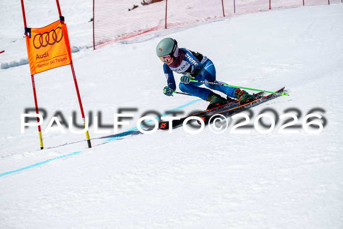 DSV - Actanol Deutscher Schülercup U12 Finale RSX 2026