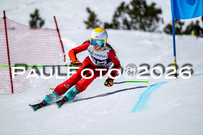 DSV - Actanol Deutscher Schülercup U12 Finale RSX 2026