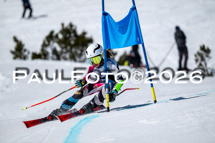 DSV - Actanol Deutscher Schülercup U12 Finale RSX 2026