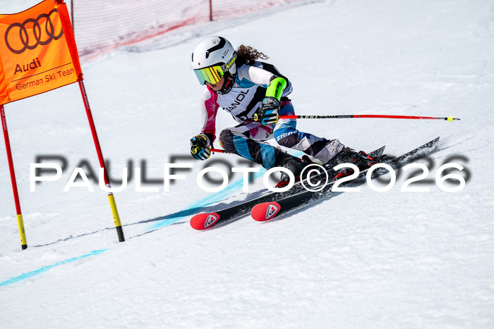 DSV - Actanol Deutscher Schülercup U12 Finale RSX 2026