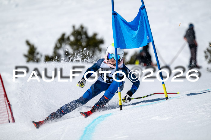 DSV - Actanol Deutscher Schülercup U12 Finale RSX 2026