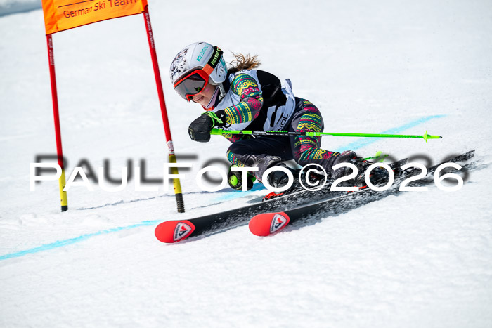 DSV - Actanol Deutscher Schülercup U12 Finale RSX 2026