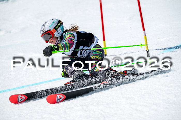 DSV - Actanol Deutscher Schülercup U12 Finale RSX 2026