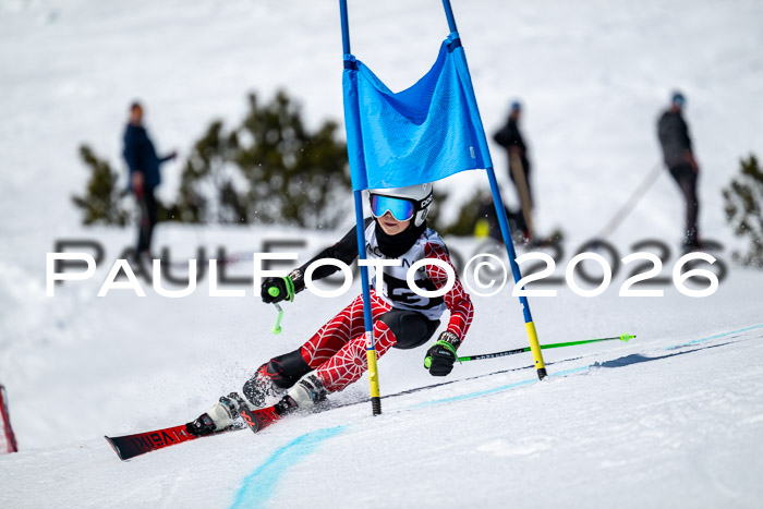 DSV - Actanol Deutscher Schülercup U12 Finale RSX 2026