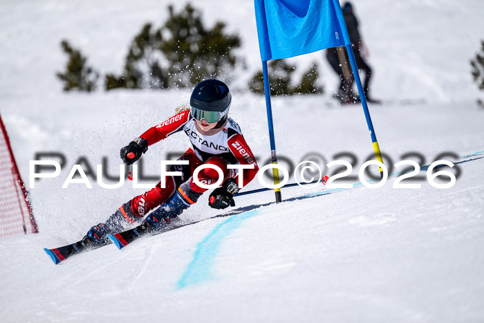 DSV - Actanol Deutscher Schülercup U12 Finale RSX 2026