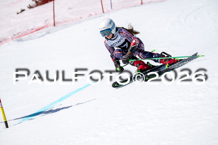 DSV - Actanol Deutscher Schülercup U12 Finale RSX 2026