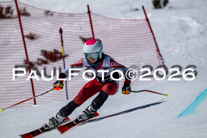DSV - Actanol Deutscher Schülercup U12 Finale RSX 2026