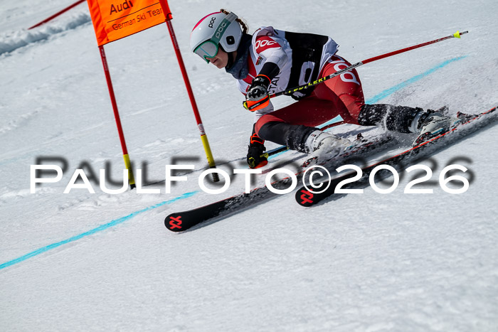 DSV - Actanol Deutscher Schülercup U12 Finale RSX 2026