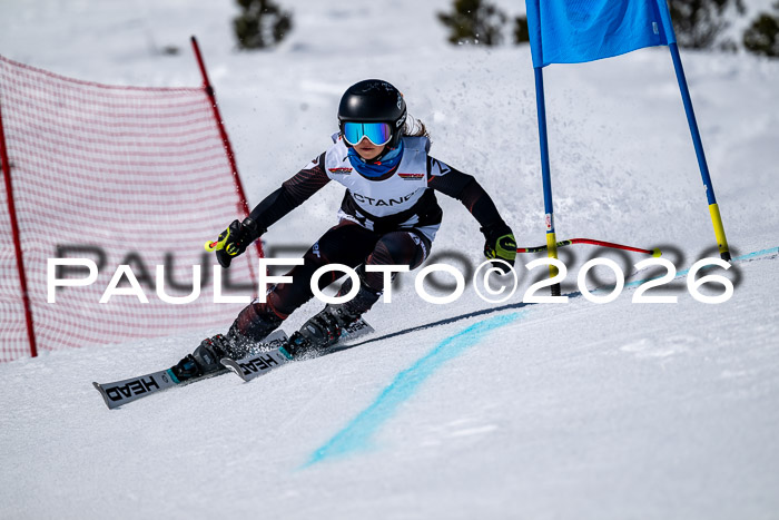 DSV - Actanol Deutscher Schülercup U12 Finale RSX 2026