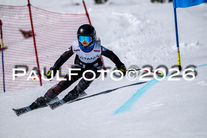 DSV - Actanol Deutscher Schülercup U12 Finale RSX 2026