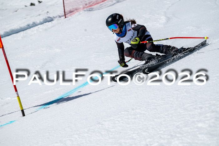 DSV - Actanol Deutscher Schülercup U12 Finale RSX 2026