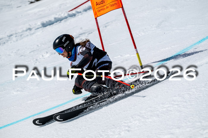 DSV - Actanol Deutscher Schülercup U12 Finale RSX 2026