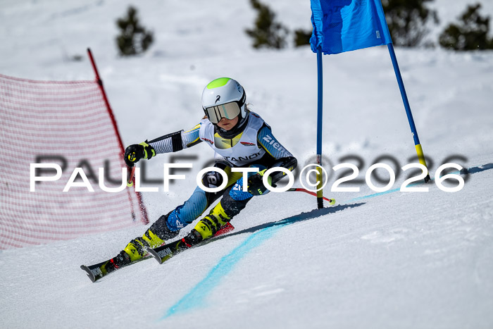 DSV - Actanol Deutscher Schülercup U12 Finale RSX 2026