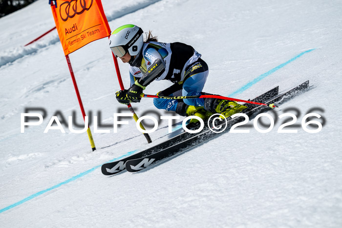 DSV - Actanol Deutscher Schülercup U12 Finale RSX 2026