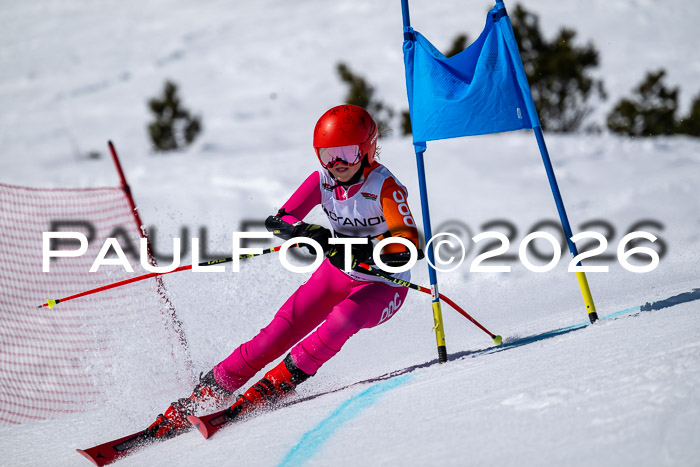 DSV - Actanol Deutscher Schülercup U12 Finale RSX 2026