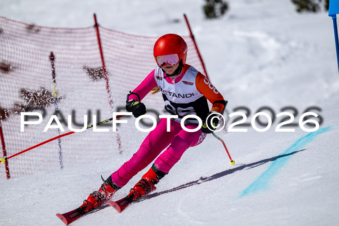 DSV - Actanol Deutscher Schülercup U12 Finale RSX 2026