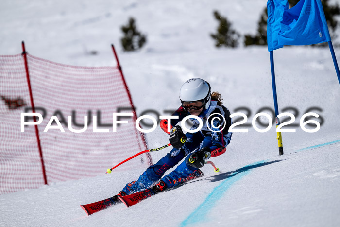 DSV - Actanol Deutscher Schülercup U12 Finale RSX 2026