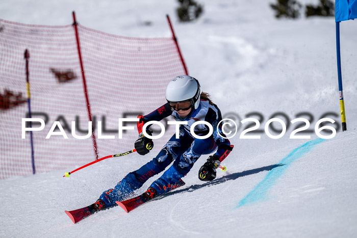 DSV - Actanol Deutscher Schülercup U12 Finale RSX 2026