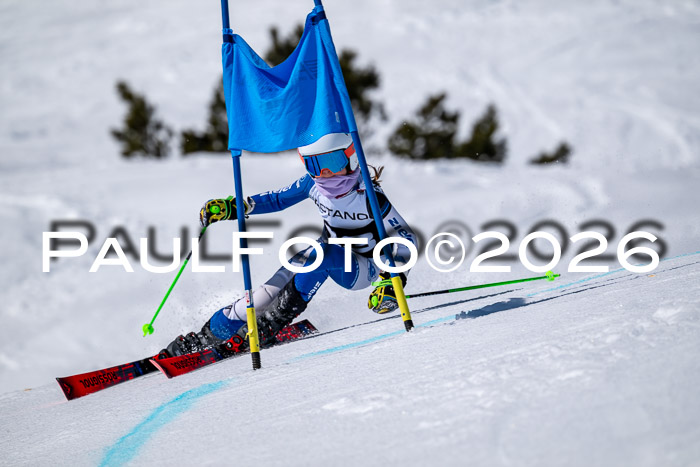 DSV - Actanol Deutscher Schülercup U12 Finale RSX 2026