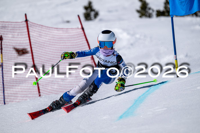 DSV - Actanol Deutscher Schülercup U12 Finale RSX 2026