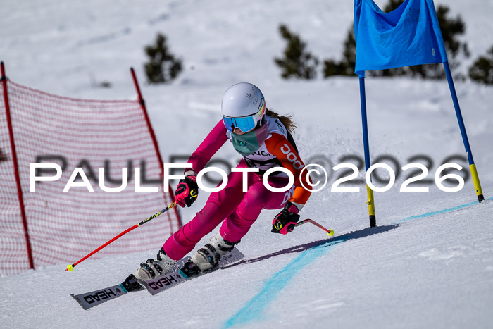 DSV - Actanol Deutscher Schülercup U12 Finale RSX 2026