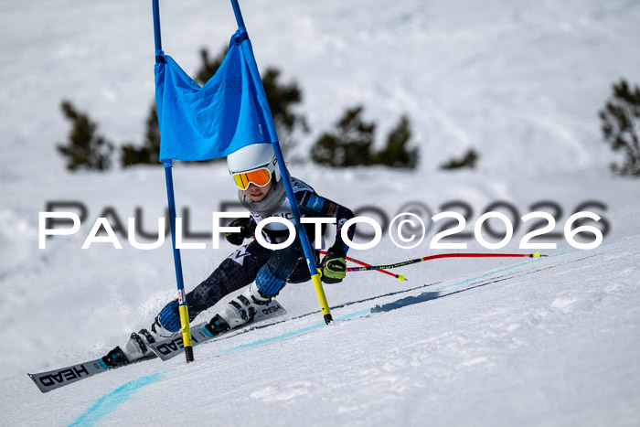 DSV - Actanol Deutscher Schülercup U12 Finale RSX 2026