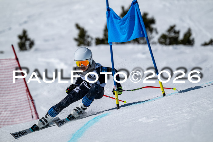 DSV - Actanol Deutscher Schülercup U12 Finale RSX 2026