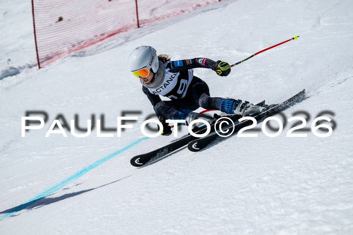 DSV - Actanol Deutscher Schülercup U12 Finale RSX 2026