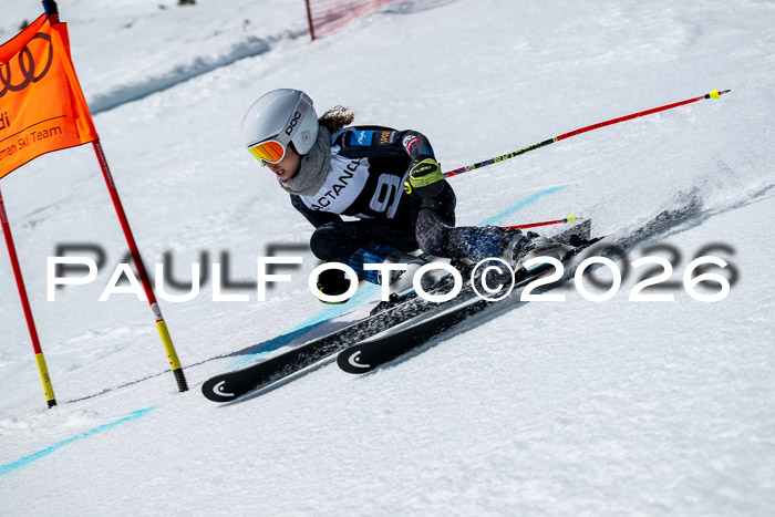 DSV - Actanol Deutscher Schülercup U12 Finale RSX 2026