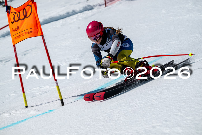 DSV - Actanol Deutscher Schülercup U12 Finale RSX 2026