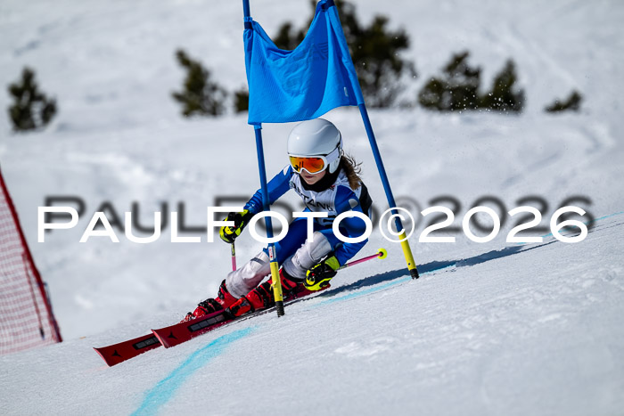 DSV - Actanol Deutscher Schülercup U12 Finale RSX 2026