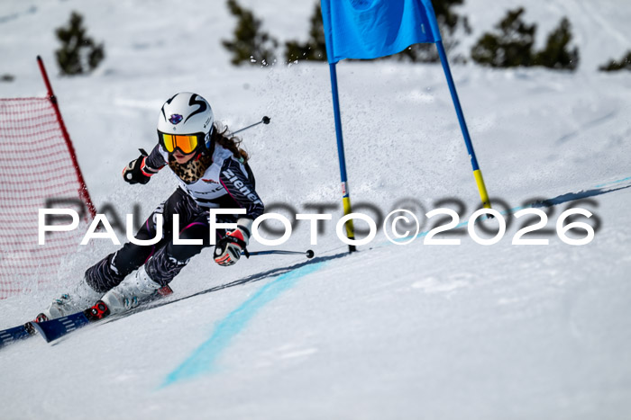 DSV - Actanol Deutscher Schülercup U12 Finale RSX 2026