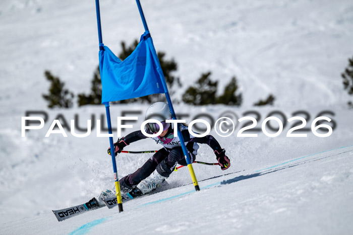 DSV - Actanol Deutscher Schülercup U12 Finale RSX 2026