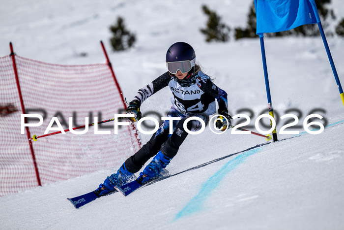 DSV - Actanol Deutscher Schülercup U12 Finale RSX 2026