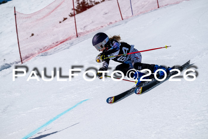 DSV - Actanol Deutscher Schülercup U12 Finale RSX 2026