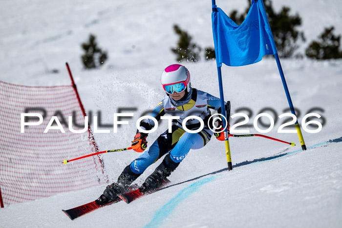 DSV - Actanol Deutscher Schülercup U12 Finale RSX 2026